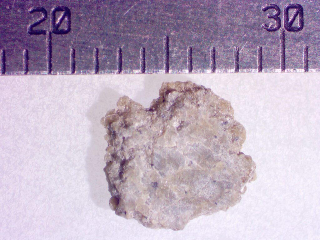 A small fragment of rock, part of a meteorite from the planet Mars.