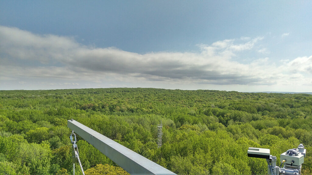 View of the University of Michigan Biological Station