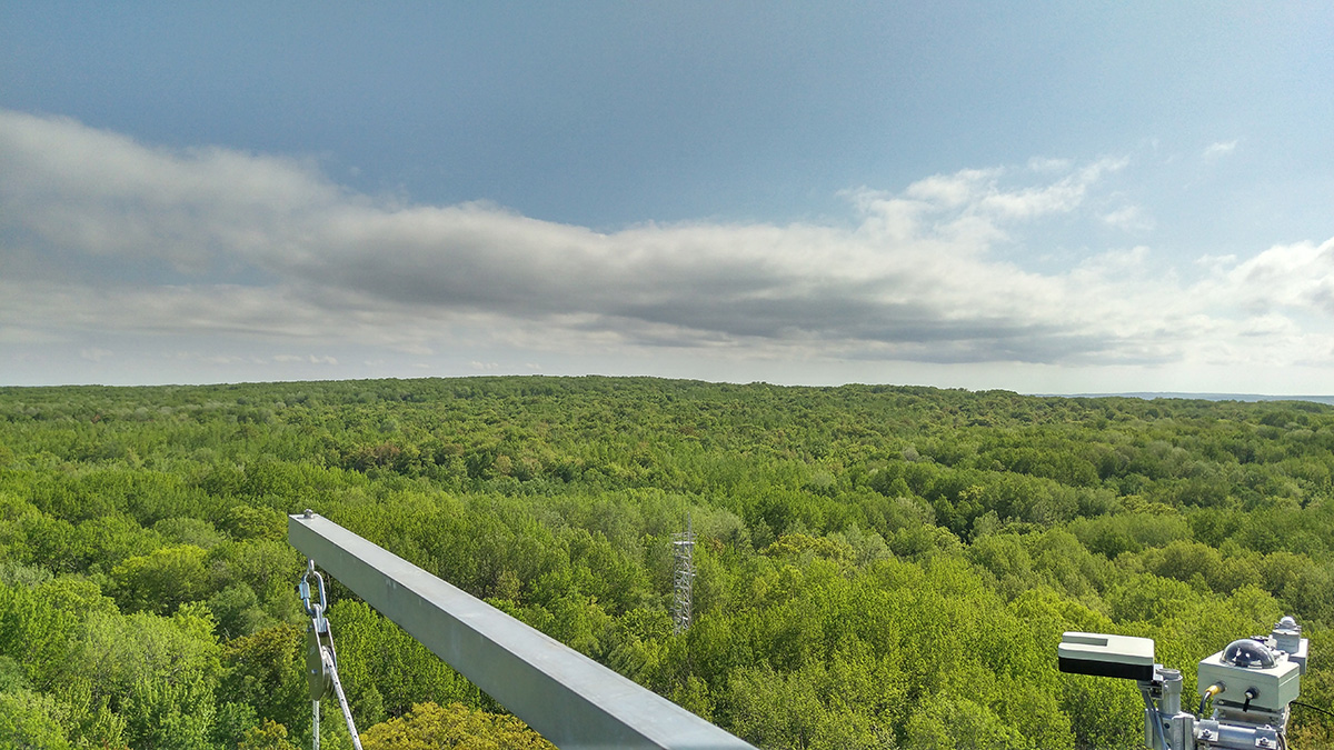 View of the University of Michigan Biological Station