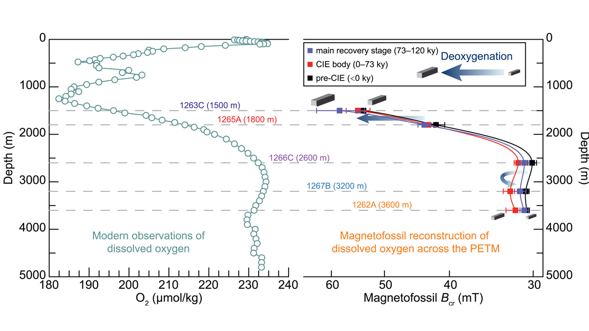 Graph from the paper.