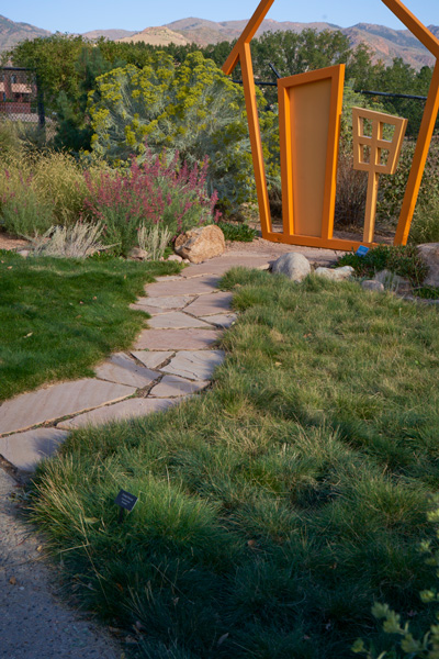 The waterwise demonstration garden illustrates the native grasses and species that thrive in Colorado and don’t require watering.
