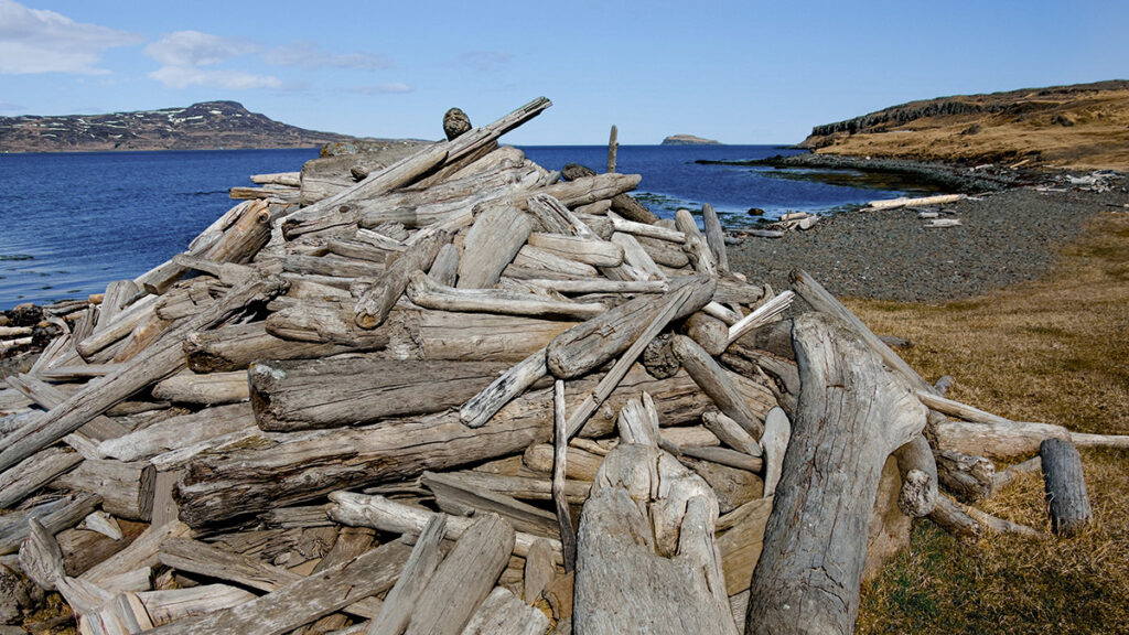 Logs, sticks, and branches that washed up on the shores of Iceland are piled on a beach.
