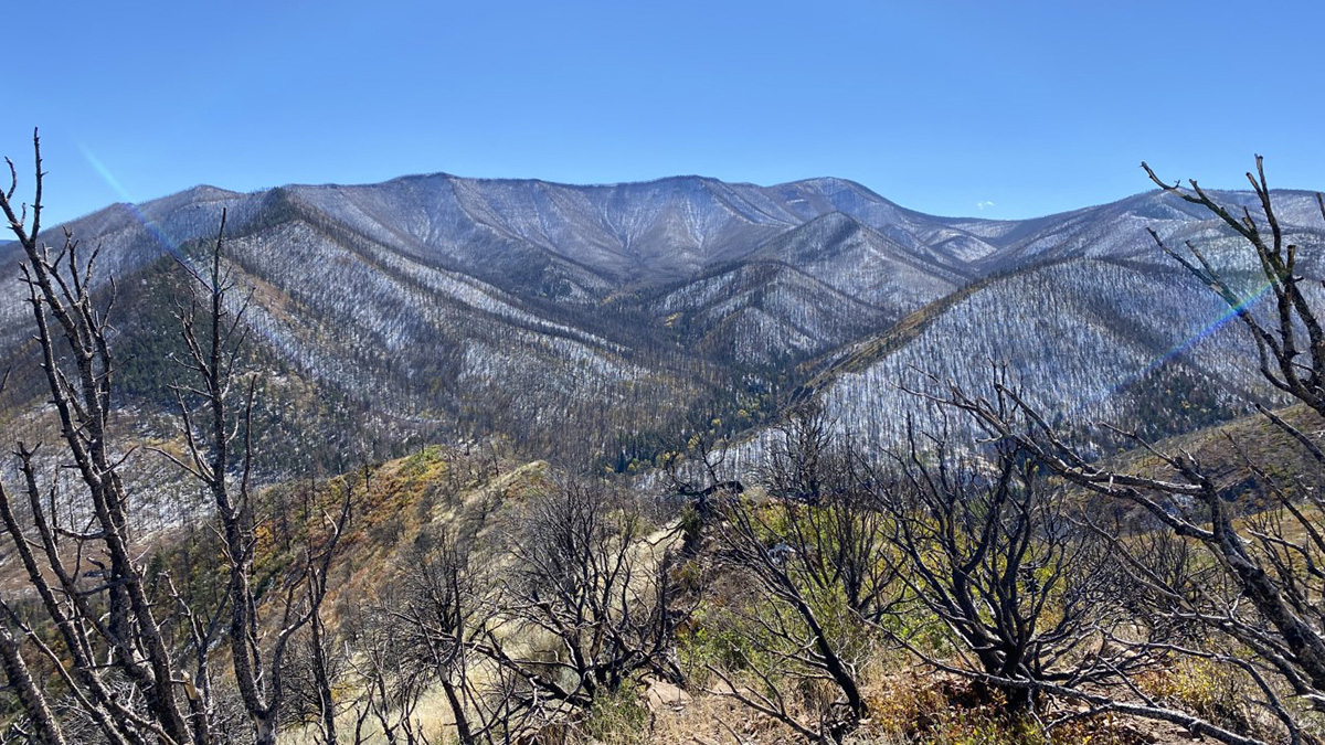 Burned landscape of the Indian Creek watershed in southern Colorado after the Spring Creek Fire