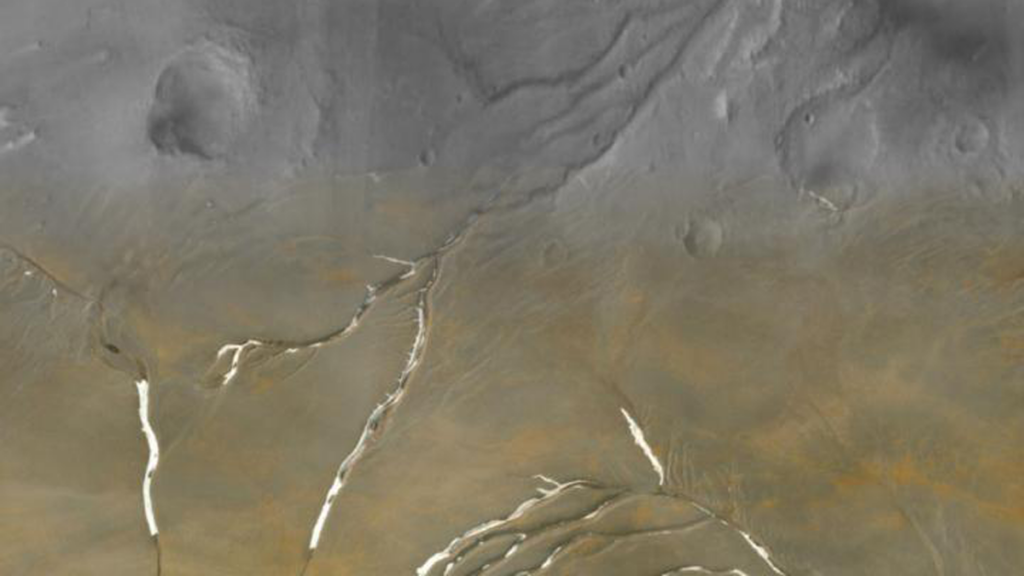 A collage of Martian valley networks superimposed with channels on Earth. The shapes of the channels appear to be almost identical.