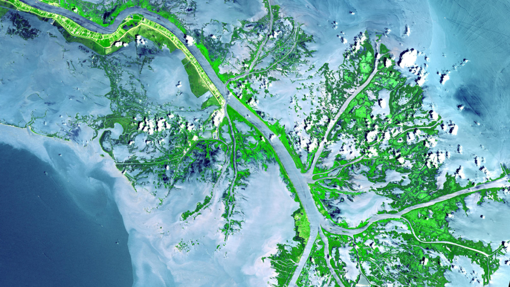 Satellite image of the Mississippi delta.