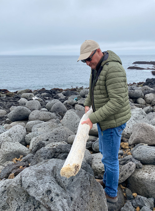 Ólafur Eggertsson examines a piece of driftwood in Reykjanes, Iceland.