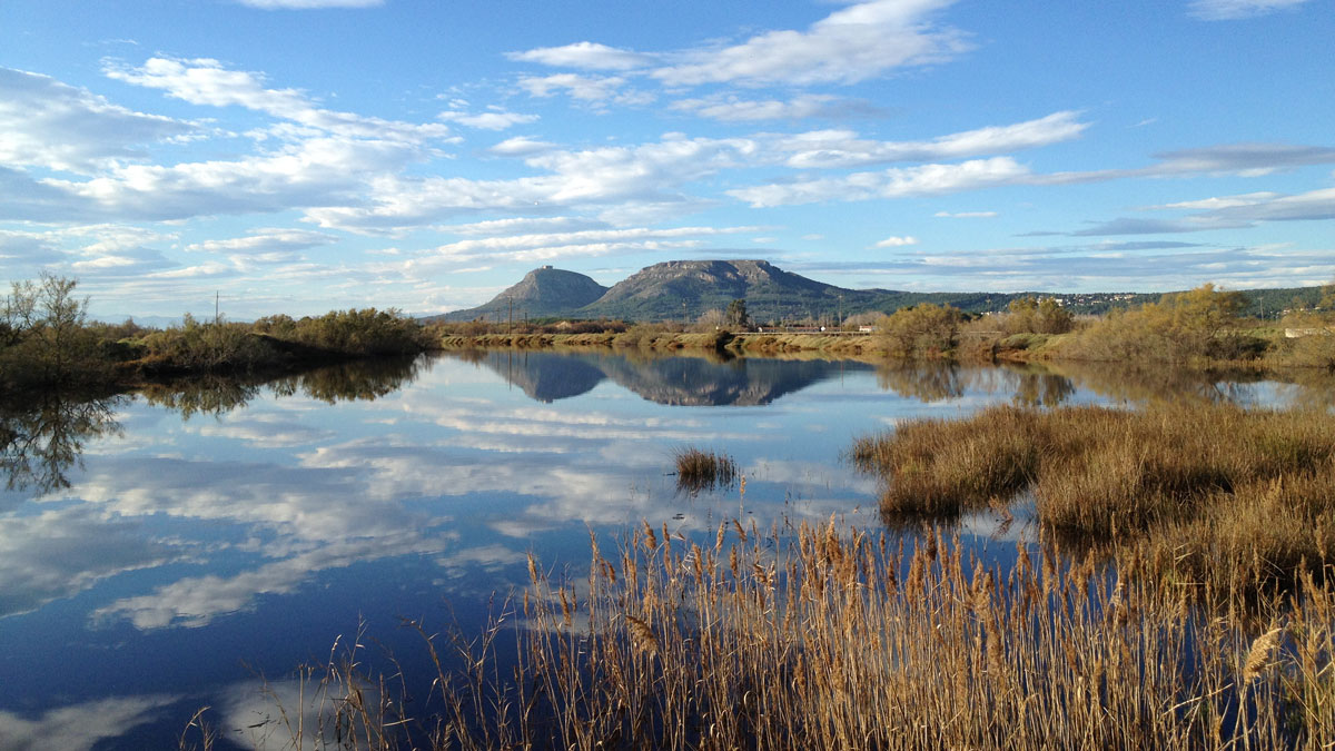 An image of a lagoon in the Pletera marsh area.