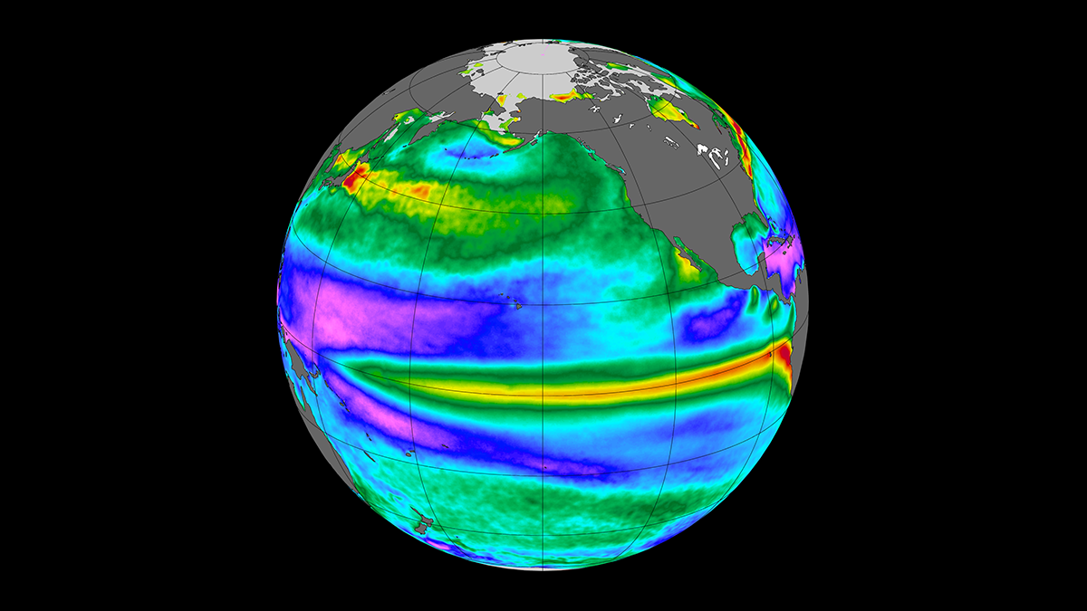 Data from the J-OFURO3 satellite product showing monthly sea surface temperature variations across the global ocean. The red colors indicate sea surface temperature swings from month to month that are typically larger than 1.5°C, while dark blues and purples indicate variations that are typically smaller than 0.5°C.