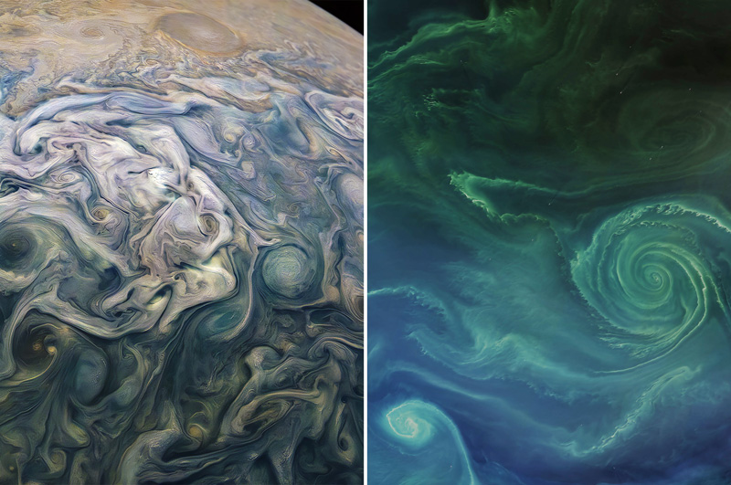 Structures and shapes formed by turbulent flows in Jupiter’s atmosphere resemble those formed in a phytoplankton bloom in the Baltic Sea.