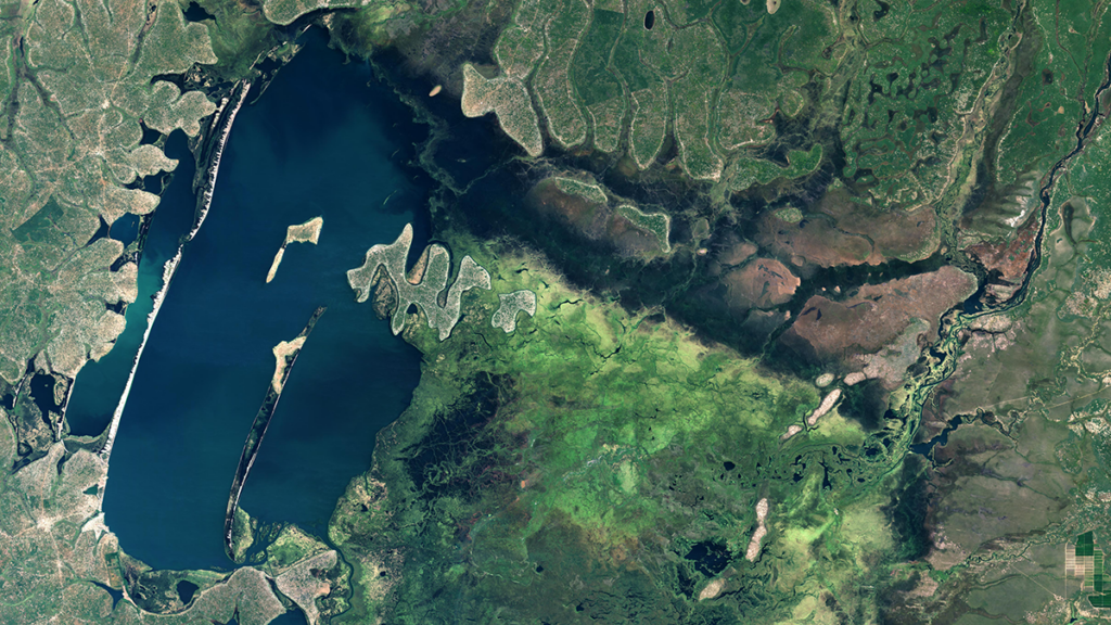 Landsat image of the Bangweulu wetlands in northern Zambia.