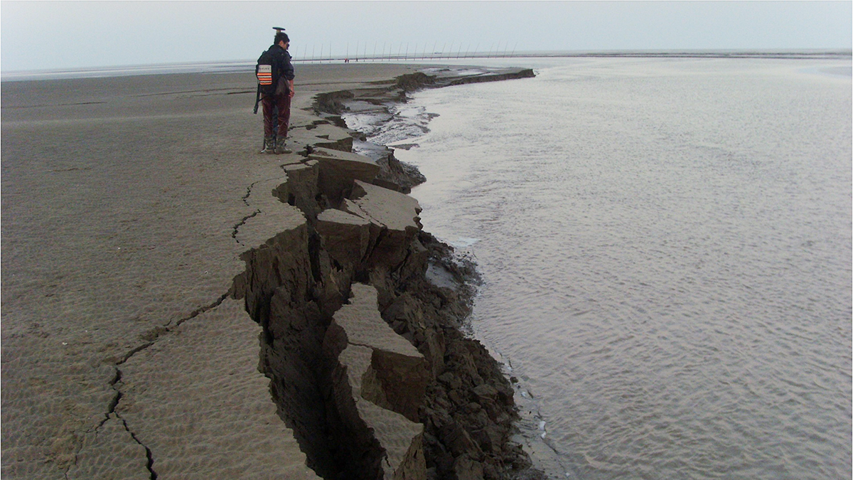 Photograph of an eroding tidal channel bank.