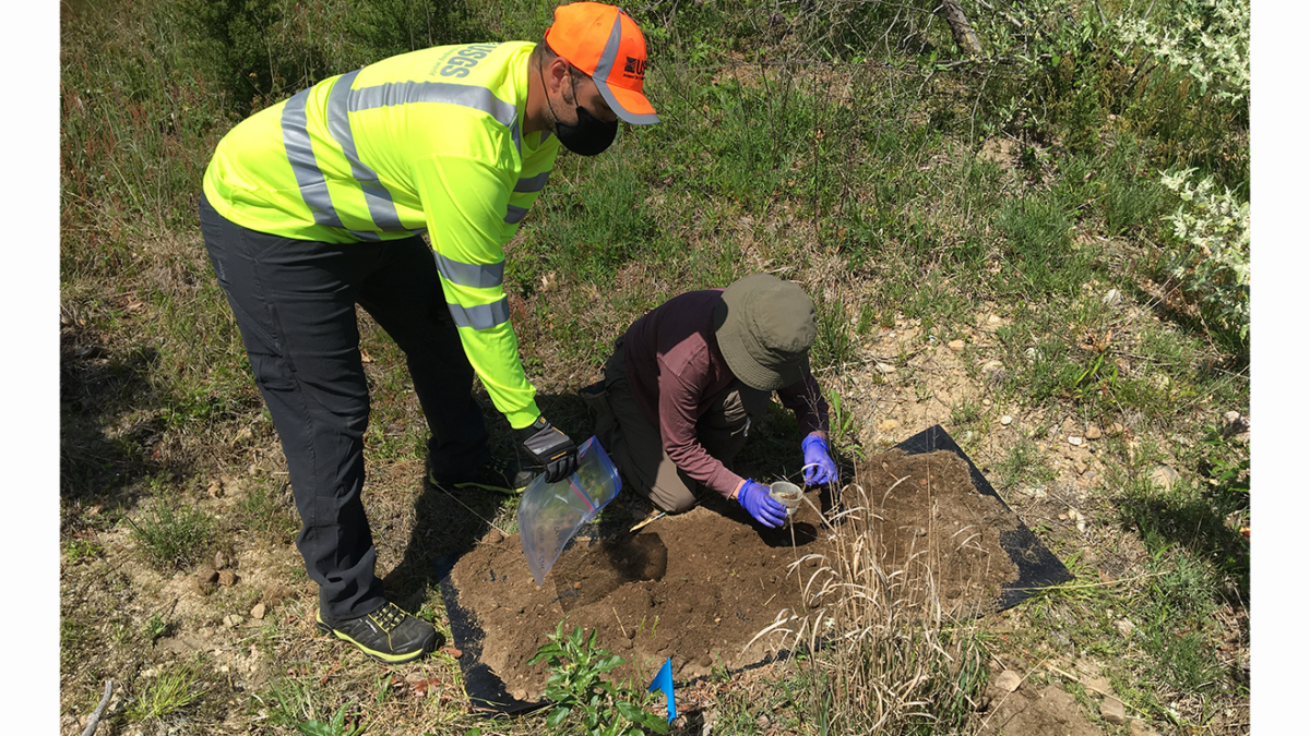 Photograph of USGS scientists collecting soil and worms at a site on Cape Cod, Massachusetts, that was contaminated by per- and polyfluoroalkyl substances.