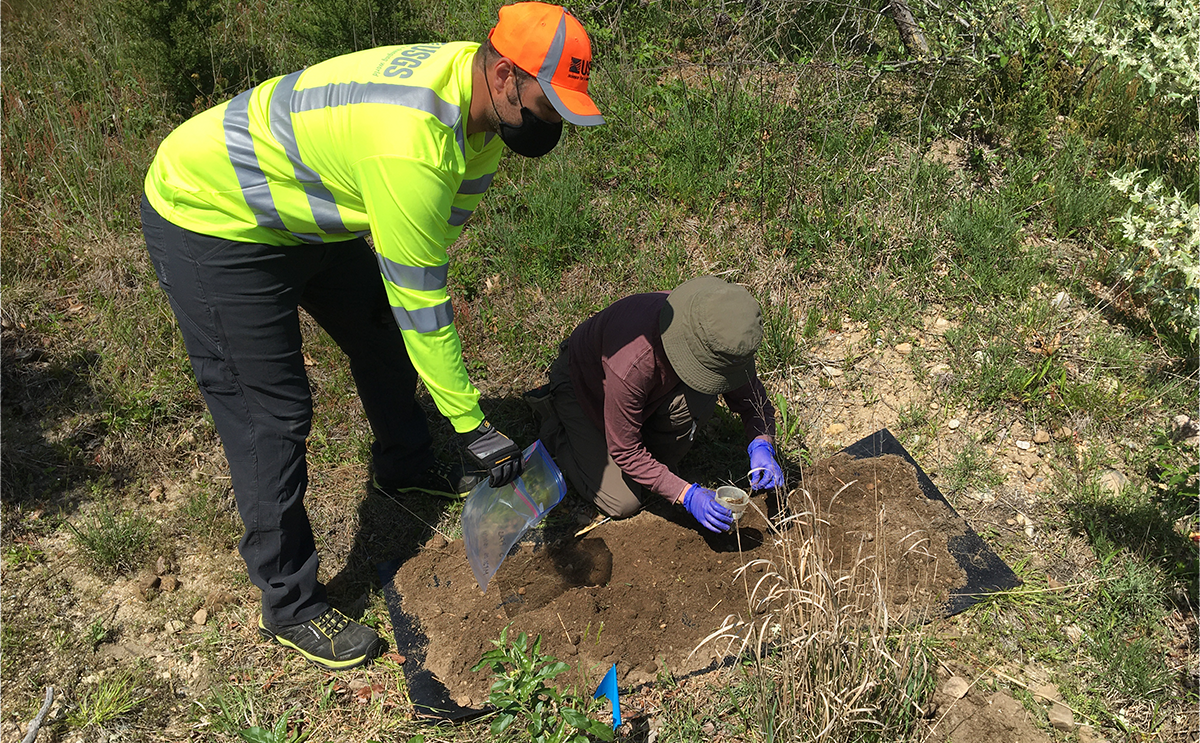 Photograph of USGS scientists collecting soil and worms at a site on Cape Cod, Massachusetts, that was contaminated by per- and polyfluoroalkyl substances.