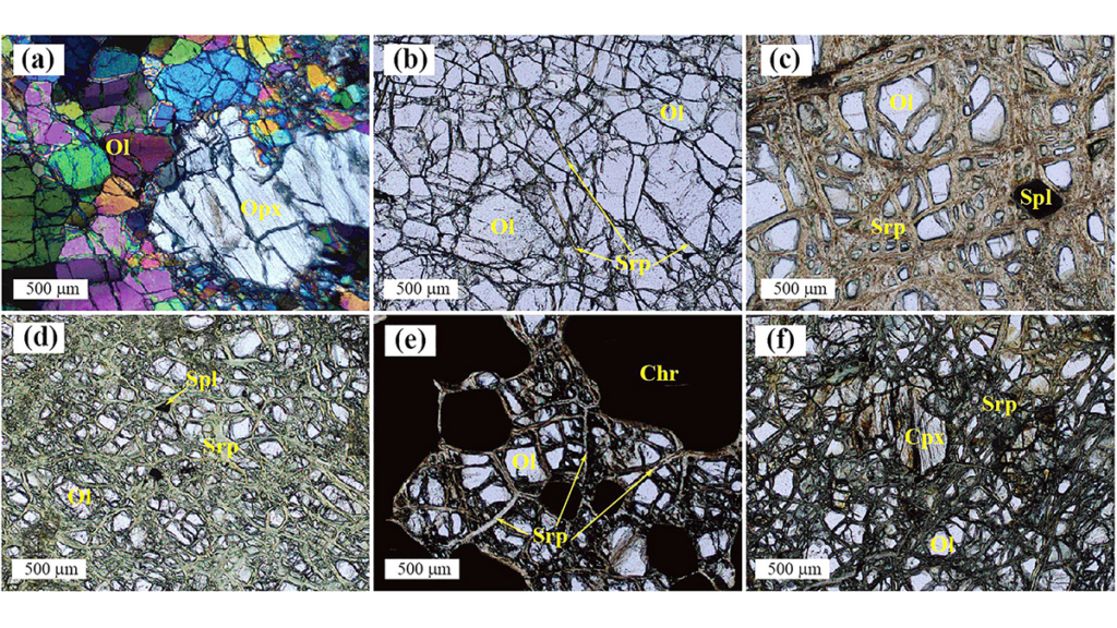 Six photomicrographs