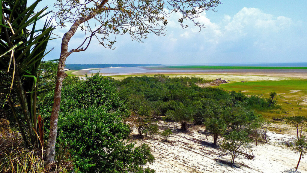 Dry patches of ground line a river basin in the Amazon rain forest.