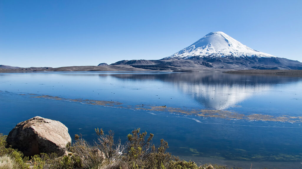 A snow-capped volcano appears against a bright blue sky and is reflected in lake water of the same bright blue. In the foreground are green shrubs and a boulder.