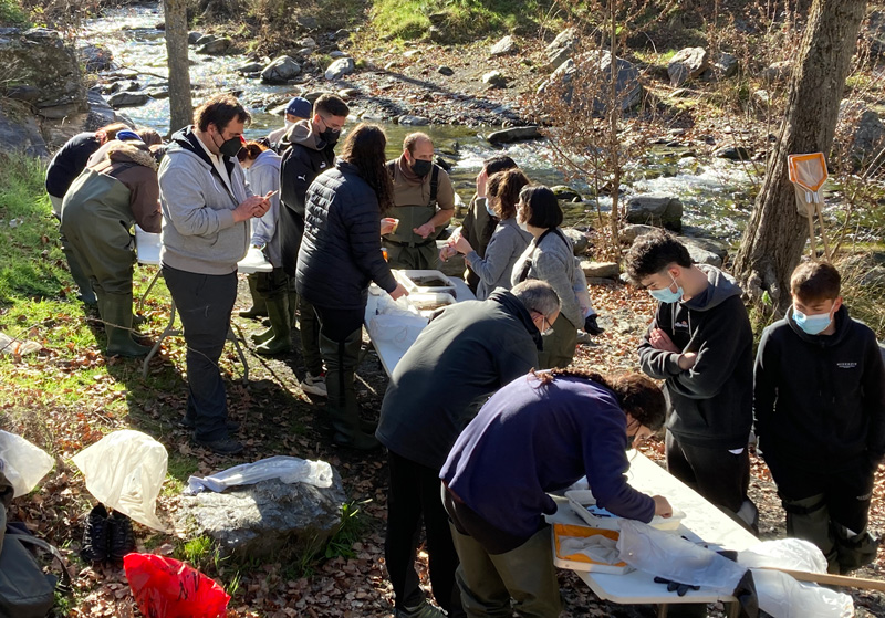 Students and instructors lean over tables set up along the bank of a forested stream to study and discuss samples collected from the stream.