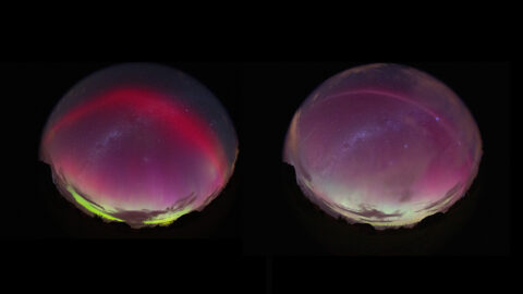 Side-by-side images show fish-eye-style photographs of a starry evening sky illuminated by different subauroral events. The left image shows a SAR arc, a reddish arc that spans the sky. Beneath the arc the sky transitions from bright green at the horizon to purple and is partially obscured by clouds. The right image shows a STEVE phenomenon. Part of the red SAR arc is still visible but is much fainter and more of a pink color than its original red. The green and purple sky is more muted in color, and more stars and the band of the Milky Way are now visible. In both images, the silhouette of some shrubs is visible.