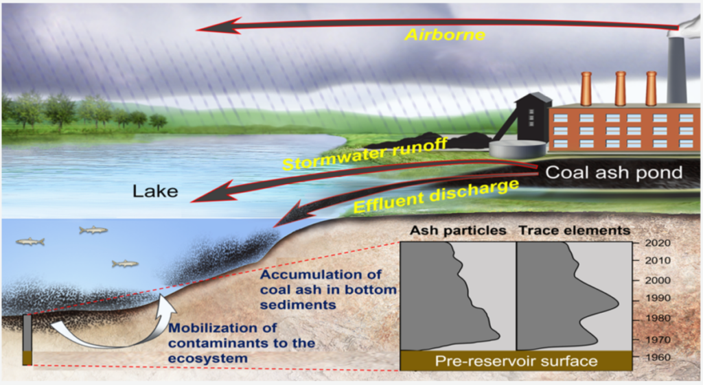 Esta infografía muestra una fábrica de quema de carbón al lado de un lago. La fábrica emite humo de sus chimeneas, el cual libera ceniza al aire que viaja sobre un paisaje verde. La lluvia transporta la ceniza hacía el lago. Al lado de la fábrica hay un cuerpo de carbón negro que libera cenizas al lago gracias a la escorrentía y a la descarga del afluente. Algunos peces nadan en el lago, ceniza negra se acumula en el los sedimentos, y contaminante se movilizan dentro del ecosistema. Un recuadro muestra cómo los núcleos que fueron colectados en los lagos muestran la superficie previa al reservorio y las distintas fases de emplazamiento de cenizas y elementos traza.