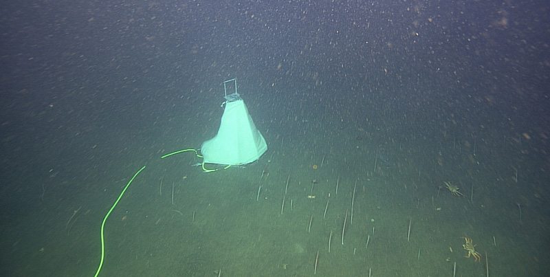 A white, pyramidal directional hydrophone sits on the seafloor.