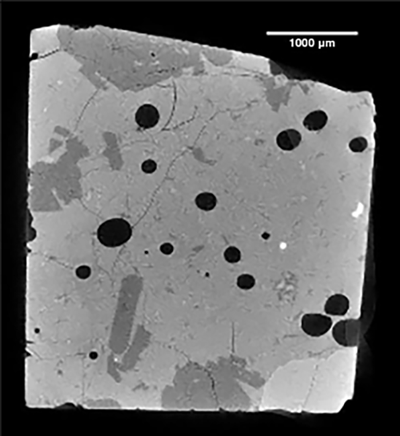 La imagen es escala de grises y muestra una sección de de roca casi rectangular. La roca contiene cristales alargados que se observan de un gris más oscuro y pequeños círculos negros que son las burbujas de gases.