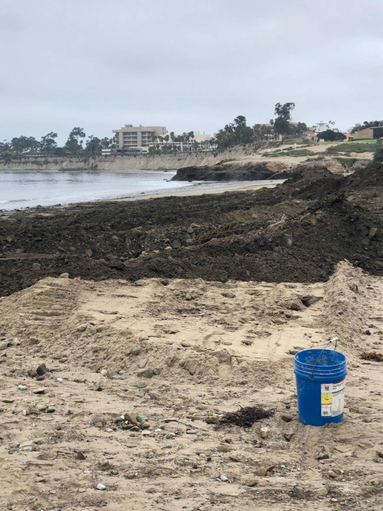 Woody debris lines Goleta Beach, Calif.