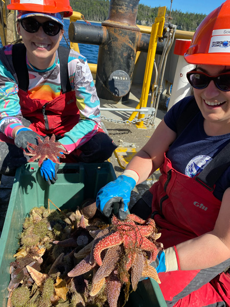 Two people in red waders and red hard hats hold starfish on the back of a research vessel.