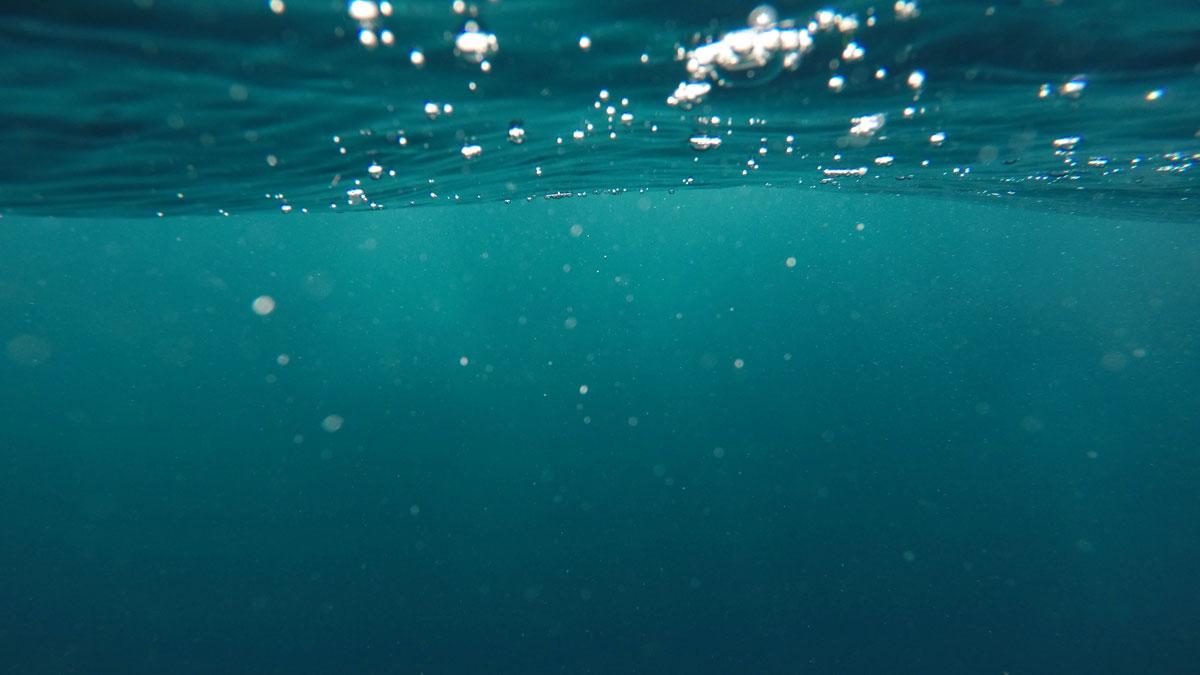 Bubbles rise toward the ocean surface.
