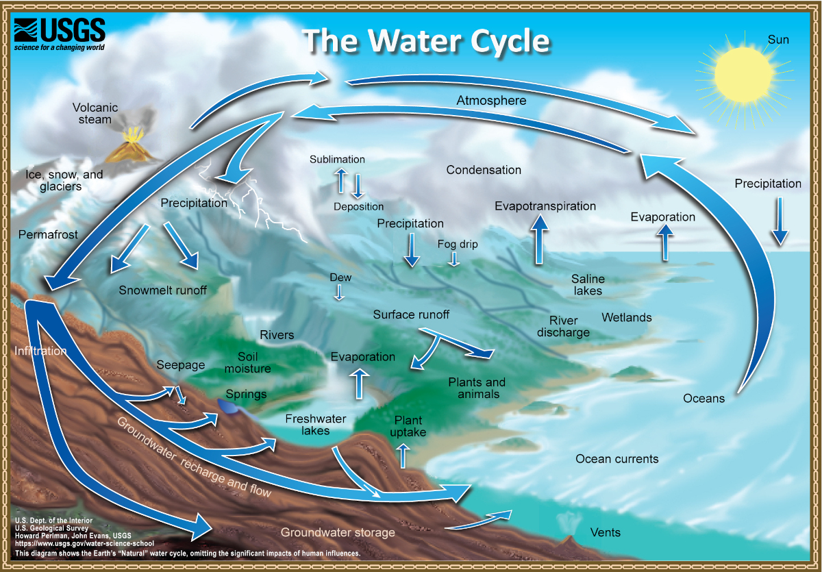 Diagram showing various water cycles on Earth.