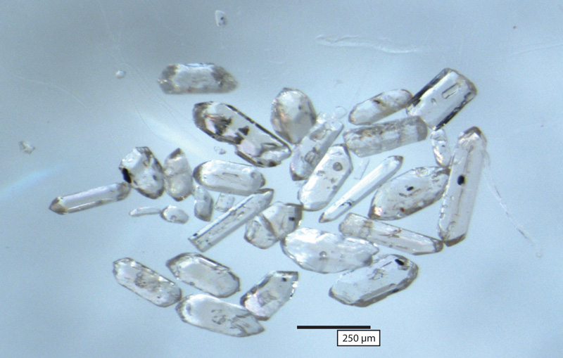 Multiple zircon crystals of various shapes and sizes against a gray-blue background