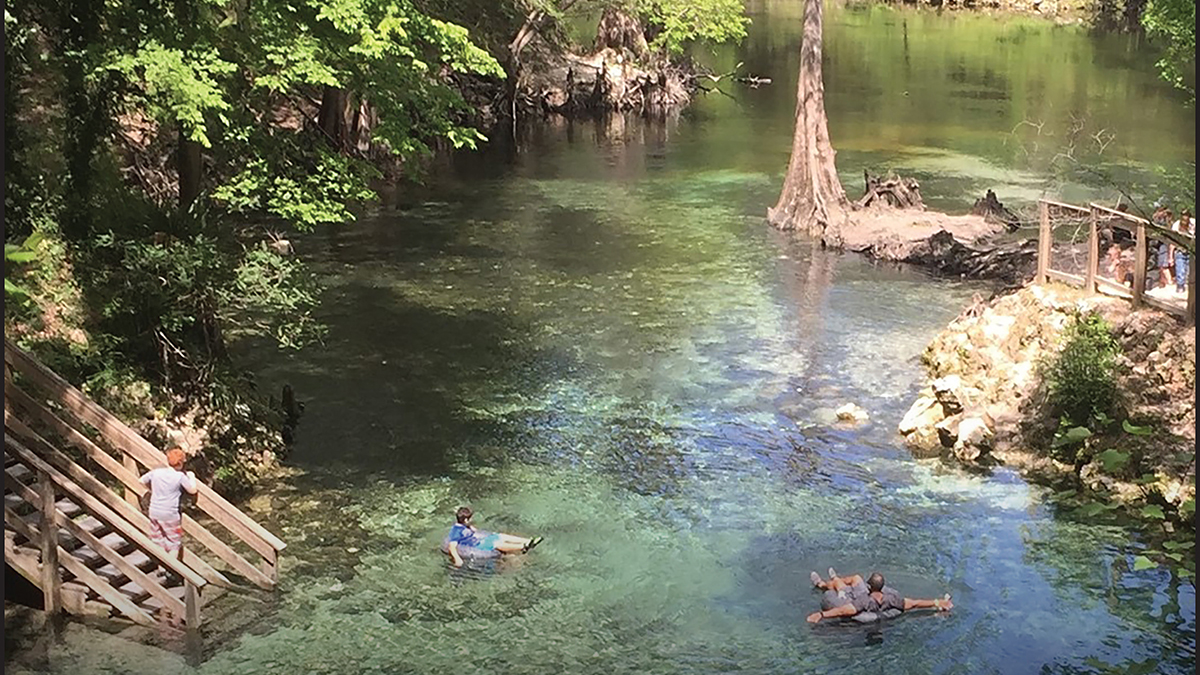 Photograph of 2 people floating on the Madison Blue spring in northern Florida.