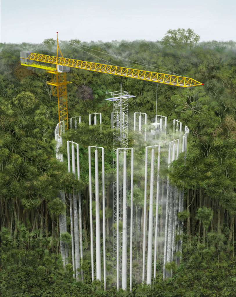 Simulation of how the AmazonFACE plots will look