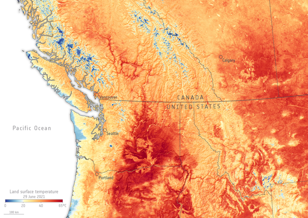 A map of land surface temperatures across the Pacific Northwest. Temperature is shown as a color gradient from blue to red.