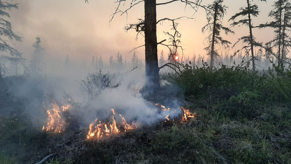 A fire burns a Siberian forest near Cherskiy, Russia, in 2020.