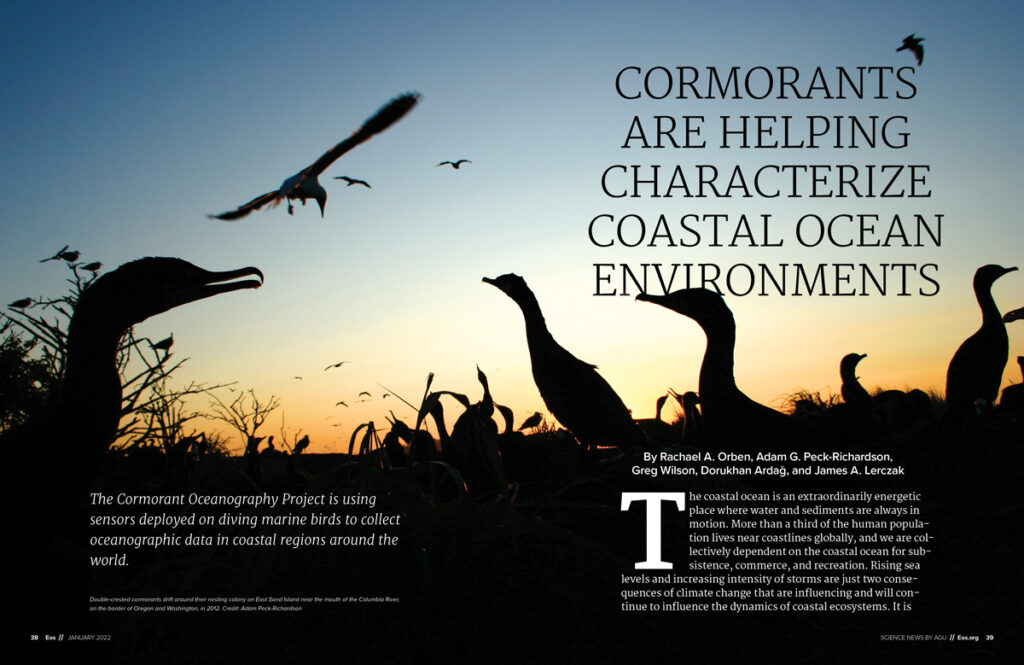 Image of two-page spread in Eos magazine with several cormorants in silhouette against a pale blue sky with a golden sunset meeting the black land