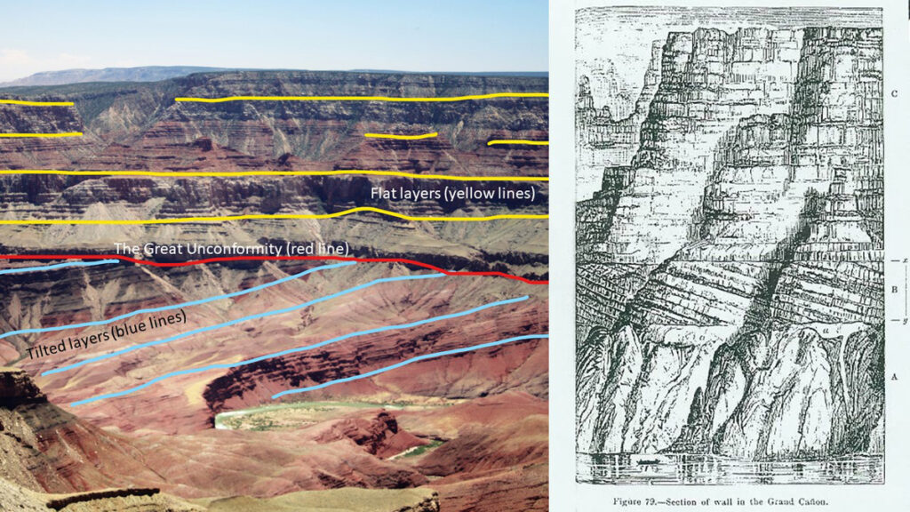On the right is the first stratigraphic section of the Grand Canyon, from Powell’s 1875 report, showing what would later be termed the Great Unconformity. A is the metamorphic basement—the oldest rocks that have been contorted. B is the Precambrian Grand Canyon Supergroup, which is composed of tilted sedimentary rocks that lack fossil assemblages. C indicates flat-lying Paleozoic rocks, which contain fossils marking the explosion of life. Two unconformities can be seen at x and y, with the former marking the Great Unconformity. The image on the left is a recent photograph of the Grand Canyon from Walhalla Plateau, with the red line showing the Great Unconformity. Blue lines trace the tilted layers below the famed surface, and yellow lines trace the flat-lying sedimentary rocks on top.