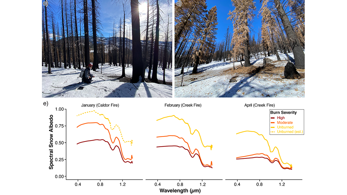 Field photos of burned forest and graphs showing reflectance properties.