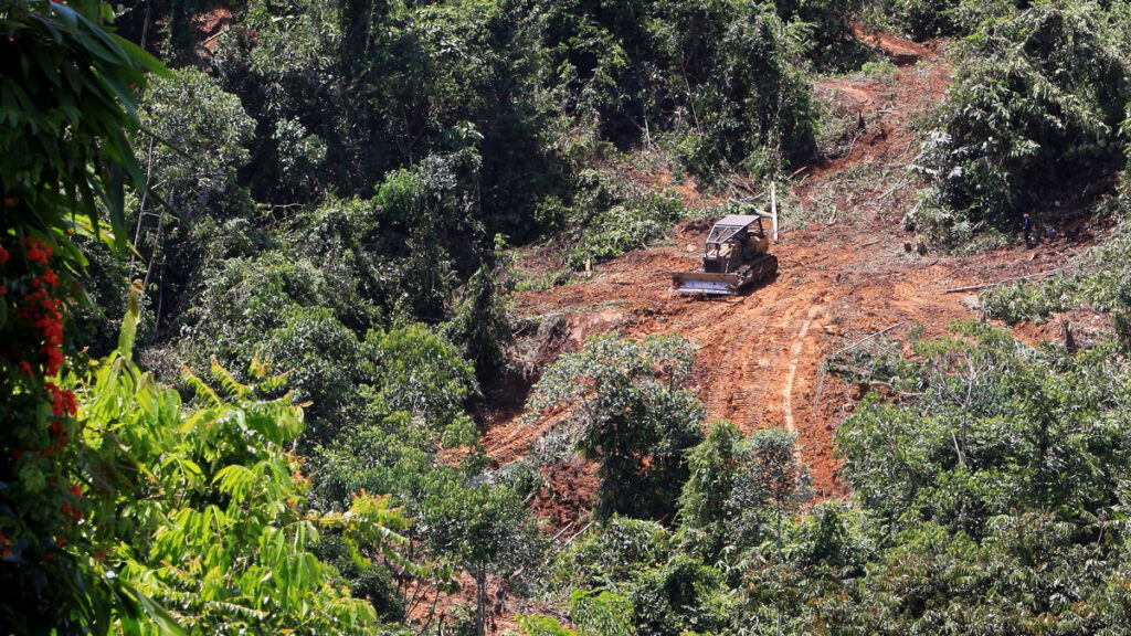 Photo of a digger clearing access to forest for selective logging in Borneo.