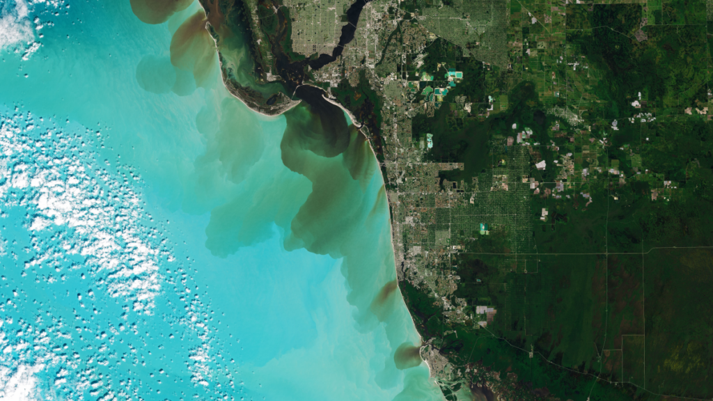 Satellite image