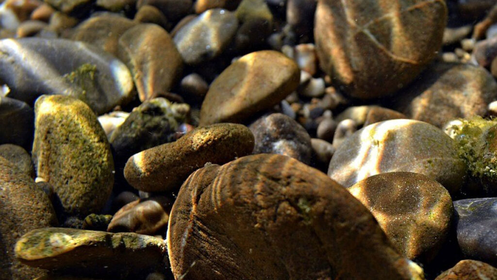 Underwater photo of earth-toned stones of various shape, some with moss, and rays of sunshine.
