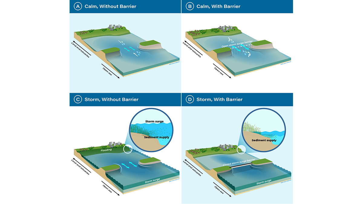 Diagrams from the paper