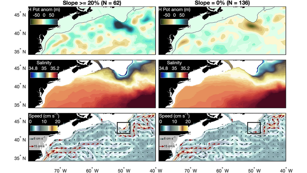 Maps showing the composite average of “open” and “closed valve” conditions for the Labrador Current.