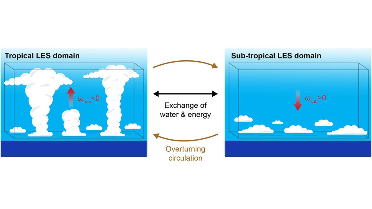 Schematic representation of the model setup developed in this paper