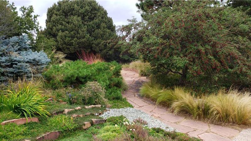 A garden with short and tall bushes and a stone path