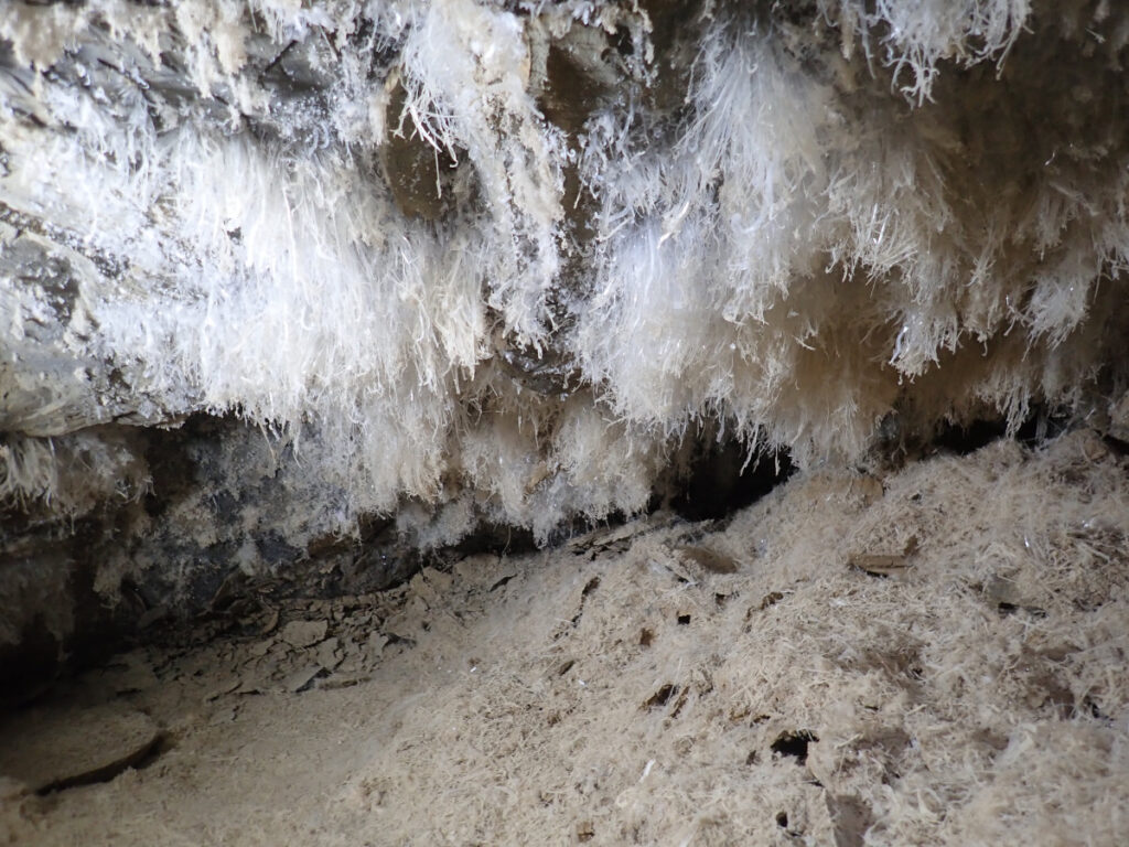 A photograph of stringy white crystals hanging from a low ceiling