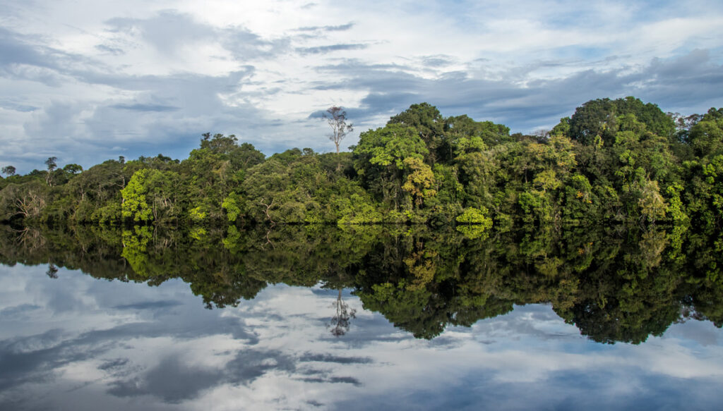 A photo of water in foreground and trees in background. The trees and the sky and clouds above them are mirrored in the water below.