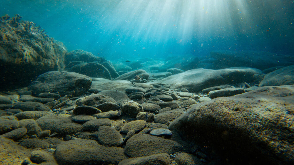 Sediments of various sizes sit on the seafloor. A blossoming, white sunbeam flares against the blue backdrop of the sea.