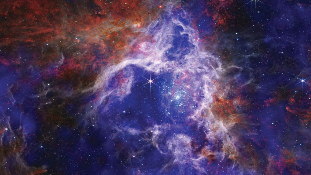 In this composite image of the Tarantula Nebula, the blue and purple patches represent X-ray data from the Chandra X-ray Observatory, and the red and orange gas clouds, which look like roiling fire, represent infrared data from the James Webb Space Telescope.