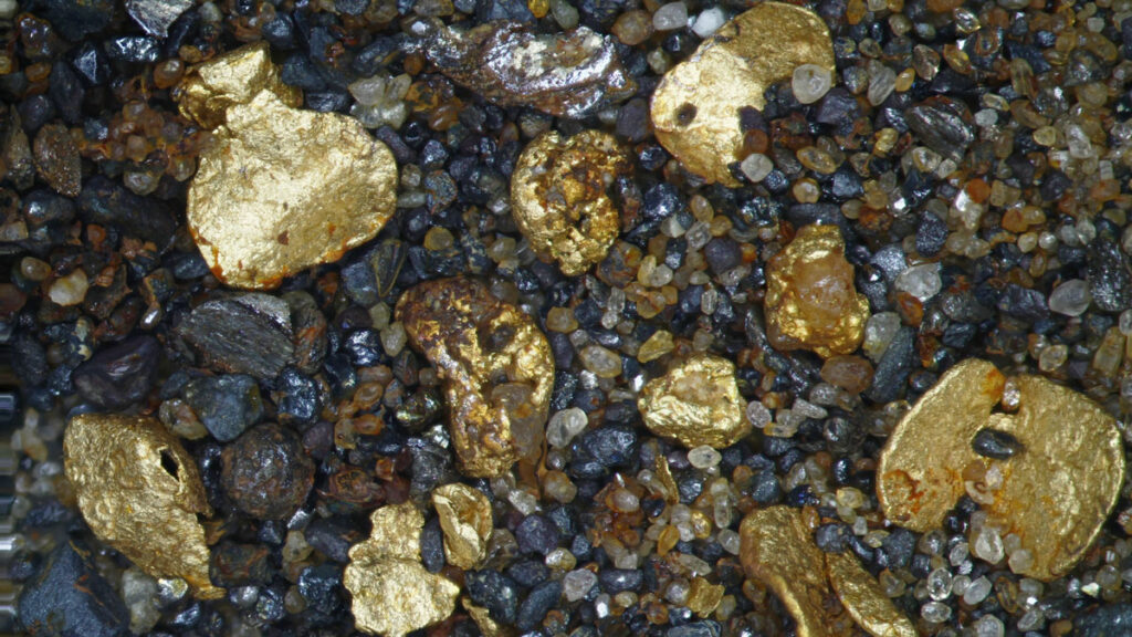 A photo of tiny rocks mixed with several flakes of gold