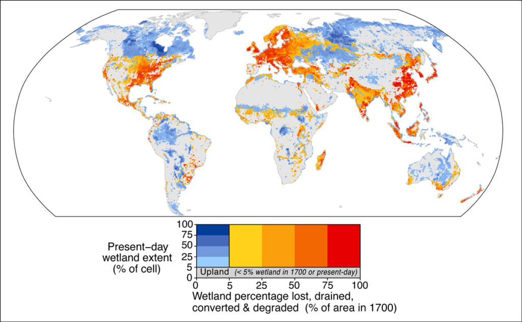 A world map illustrating where wetlands have been lost, drained, converted, and degraded since 1700.